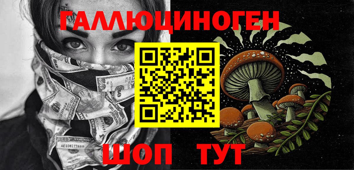 Галлюциногенные грибы Psilocybine cubensis Похвистнево